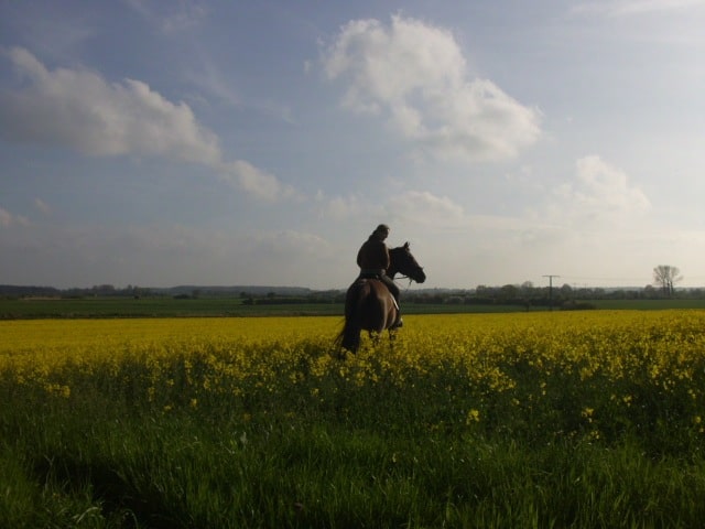 mioundichrapsfotoschönhagen Reiterhof Hof Lückeberg