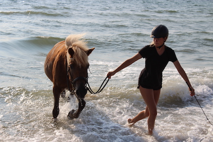 Emmie und Bonnie im Meer 1 Reiterhof Hof Lückeberg