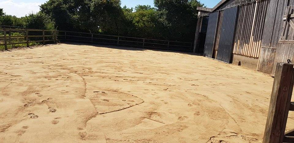 Offenstall neu 2 1 Reiterhof Hof Lückeberg