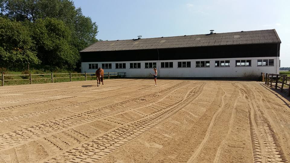 Reitplatz neu 2 1 Reiterhof Hof Lückeberg