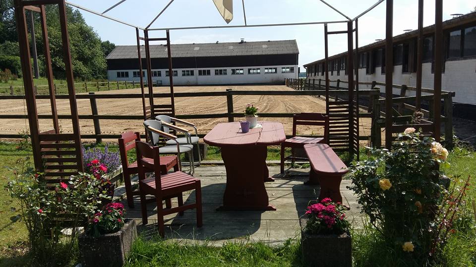 Reitplatz neu 3 1 Reiterhof Hof Lückeberg
